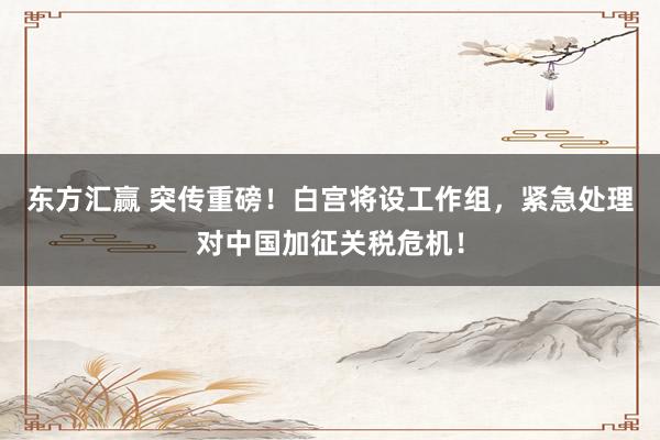 东方汇赢 突传重磅！白宫将设工作组，紧急处理对中国加征关税危机！