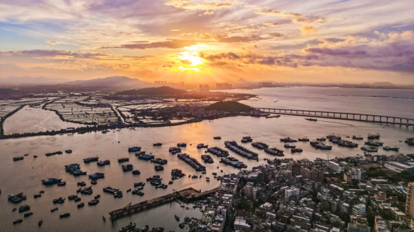 传金所 开渔第一市交易忙！千年博贺港抢“鲜”不停