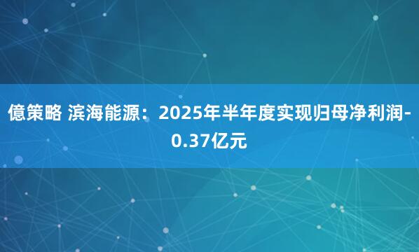 億策略 滨海能源：2025年半年度实现归母净利润-0.37亿元