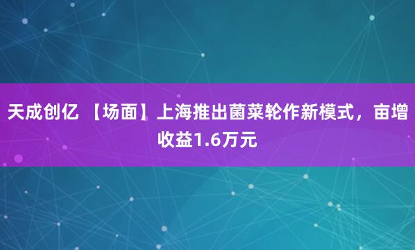 天成创亿 【场面】上海推出菌菜轮作新模式，亩增收益1.6万元