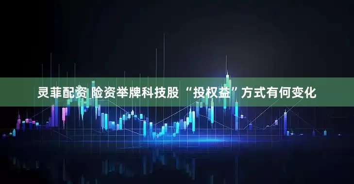 灵菲配资 险资举牌科技股 “投权益”方式有何变化